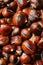 Pile of delicious edible roasted chestnuts as background, top view