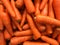 Pile of department store carrot.