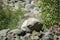 A pile of different stones closeup