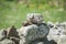 A pile of different stones closeup