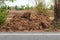 The pile of dirt near the asphalt road.