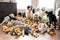 pile of dog toys in living room, with many dogs playing and running around