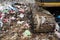 Pile of domestic garbage in landfill dump site.