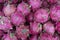Pile of dragon fruit for background,wallpaper and backdrop