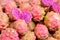 Pile Dragon fruit in the market.