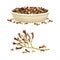 Pile of Dried Clove Aromatic Spice Rested in Bowl Vector Set