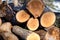 Pile of dry chopped wooden logs in storage in a village - ready for the cold winter