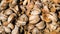 Pile of Dry Coconut Coir Husk in Sunny Day