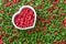 Pile of dry pet food with red color in heart cup , love pet concept.