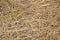 Pile of dry rice chaff pattern texture and background.