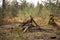 A pile of dry twigs and brushwood for a fire. Thick branches, wood chips in the forest