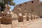 A pile of effigies of rams arranged in a row, Karnak temple, Luxor, Egypt