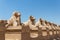 A pile of effigies of rams arranged in a row, Karnak temple, Luxor, Egypt