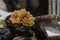 Pile of eggplant at the market decorated with a group of orange fabric flowers