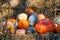 Pile of fall pumpkins and gourds on bales of hay