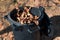 Pile of fallen autumn leaves in the bucket