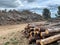 A pile of felled pine logs piled up on the edge of a path, wood, pinewood raw material, cut down forest