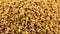 Pile of fenugreek seed rotating close up view - fenugreek seed are used as seasoning in the kitchen