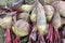 In a pile on the field are harvested red table beets