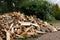 Pile of firewood