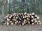 A pile of firewood in the forest. Sawn trees lie on one heap. Round wooden logs, lumber. Material for fire