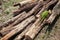 Pile of firewood, old chocks lay in a sunlight