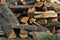 Pile of firewood. Preparation of firewood for the winter and use for cooking, firewood background, Stacks of firewood in the