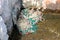 Pile of fishing nets held together with thick rope and small buoys left in corner of traditional stone wall at local harbour