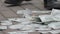 Pile of forged banknotes on ground, person sweeping faked money, closeup shot