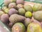 Pile of fresh Avocados for sale in the supermarket. The avocado (Persea americana) is commercially valuable and are cultivated in