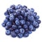 Pile of fresh blueberry fruits