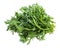 Pile of fresh edible chrysanthemum greens isolated