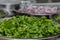 Pile of fresh green chopped coriander - parsley - cilantro - leaves in an iron bowl