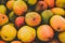 Pile of fresh mango fruits closeup -  food background