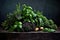 pile of fresh mixed herbs on a dark, textured surface