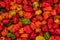 A pile of fresh multi coloured small wrinkled capsicums at an farmers market in the the UK