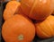 pile of fresh orange Japanese Kabocha pumpkins in supermarket