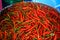 Pile of fresh organic vibrant red hot chillies on metal tray background with copy space selling in local market for spicy food