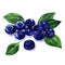 Pile of fresh ripe blueberries with green leves, heap of sweet blueberry berries, organic healthy food, isolated, hand
