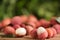 Pile of fresh ripe lychees on wooden table outdoors
