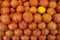 Pile of fresh ripe tomatoes in the Farmer\\\'s market  the very popular fruit of Solanum lycopersicum plant