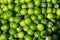 Pile of fresh rounded organic lime fruit background in bright yellow and green color selling in market under sunlight