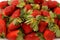 Pile of fresh strawberries fruit, the garden strawberry is a widely grown hybrid species of the genus Fragaria ananassa with its