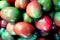 Pile of fresh tomatoes, Top view shot. Still life, vegetable, fruits, kitchen, food photography related concepts