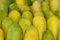 A pile of fresh tropical green papayas