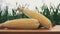 Pile of Fresh yellow sweet corn on a wooden table