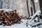 pile of freshly chopped firewood in snowy forest