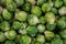 A pile of frozen Brussels sprouts background