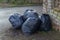 Pile of garbage bags. Lots black garbage bag with street and old brick wall background.