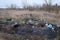 A pile of garbage in a grove. Pollution of nature